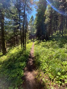 Sheep Mountain Trail.
