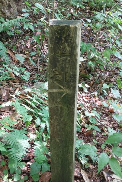 Campsite 31 marker at the end of Porters Creek Trail.