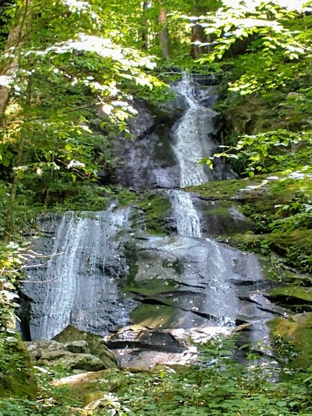 Fern Branch Falls about half way up Porters Creek Trail.