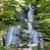 Fern Branch Falls about half way up Porters Creek Trail.