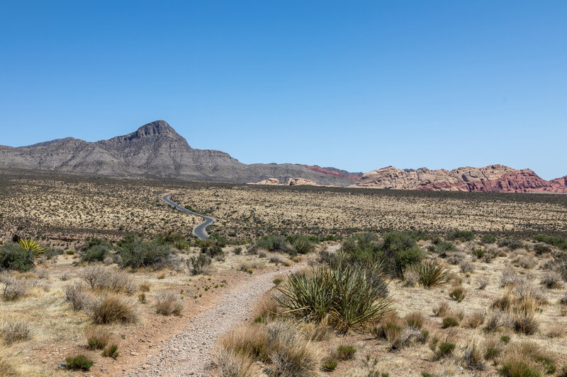 Turtlehead Peak and Calico Hills from White Rock Loop.