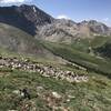 13ers in Ten-Mile Range across gulch from Mayflower Hill.