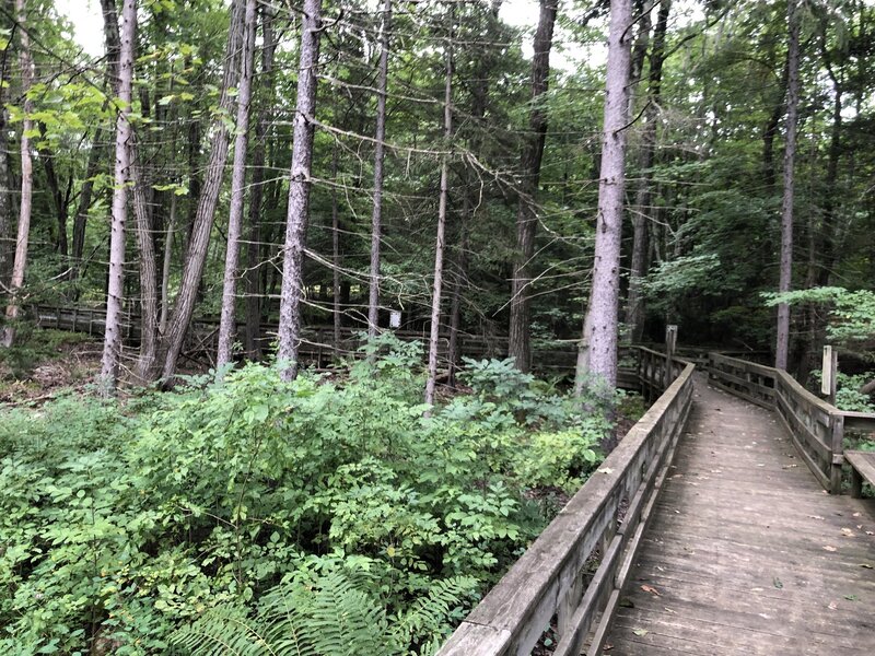 Wood boardwalk with educational signs.