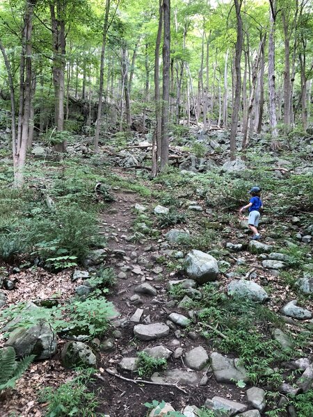 Navigating the trail as it starts to get steeper.