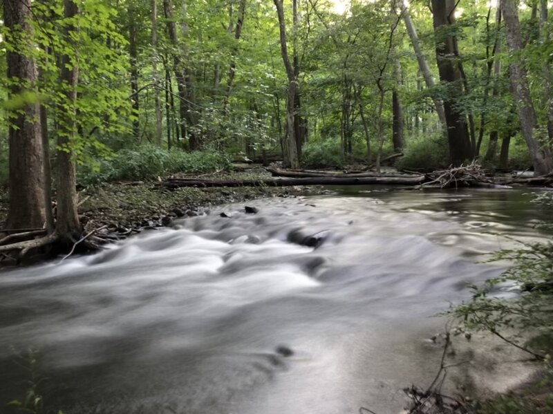 Brisk flow in the West River after a storm.