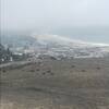 View from the top elevation of Lone Oak trail, looking across the cows and fields down to Pismo Beach in the distance.