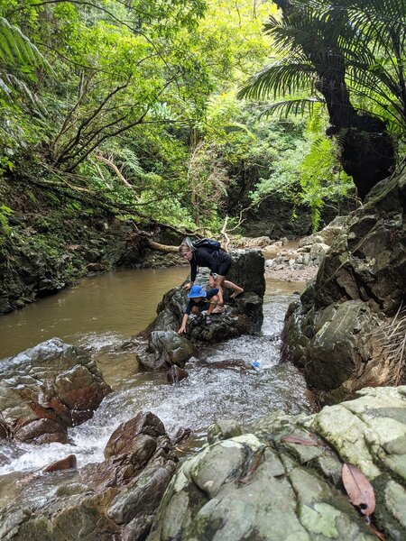 Some of the more difficult sections of the trail.