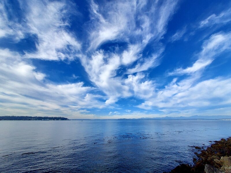 Duwamish Head and Elliott Bay from Myrtle Edwards Park.