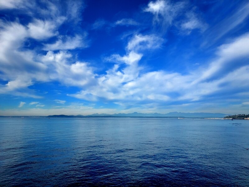 Elliott Bay and the Olympic Mountains from Myrtle Edwards Park.