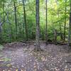 One of three posted camp sites on the Boquet Forks trail to Grace Peak.