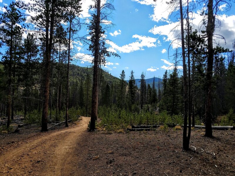 Segment 6 - Near Argentine Pass Cutoff.