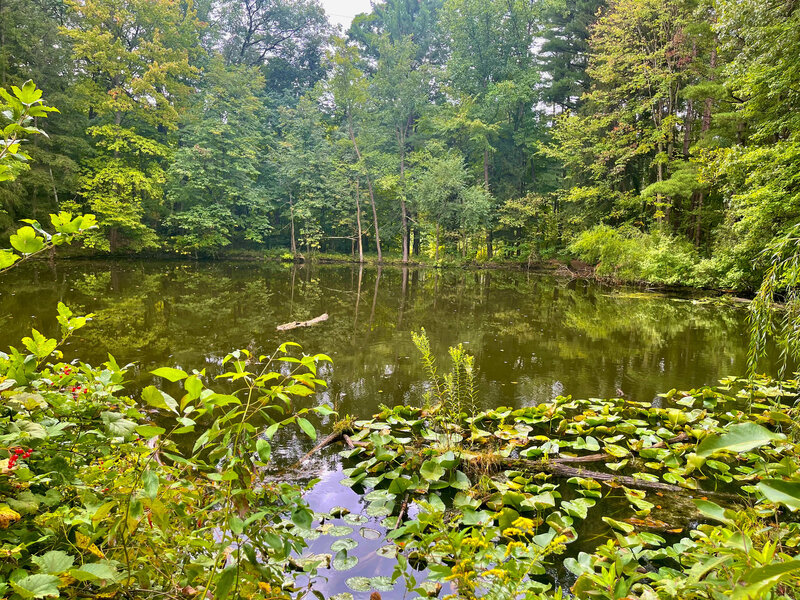 Kettle lake in the Valparaiso Moraine.