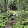 Feeder trail to the Mount Phillips Trail.