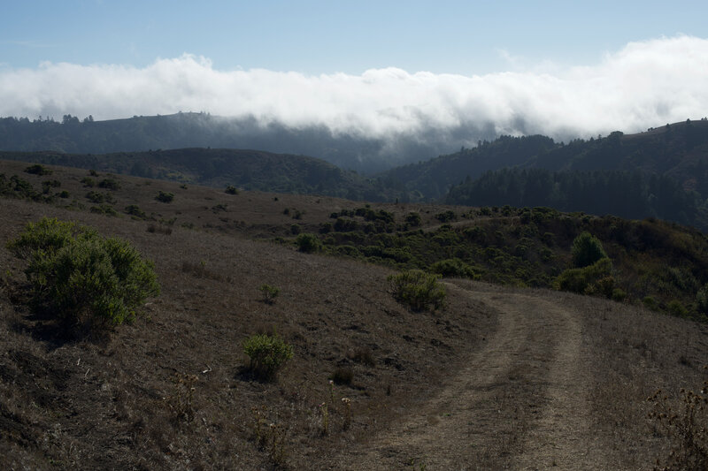 The Folger Ranch Loop Trail breaks off from the Harrington Creek Trail. In the afternoon and evening, you can watch the clouds roll over the hills.