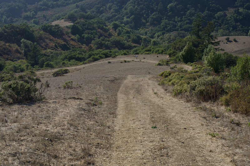 The trail drops (or climbs) steeply at this point down the hillside.