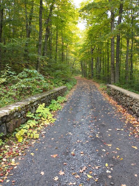 The road/trail into Camp Santanoni.