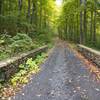 The road/trail into Camp Santanoni.