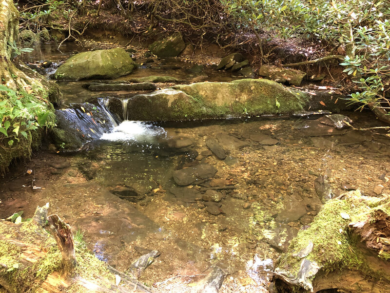 First half of trail follows beautiful mountain stream.