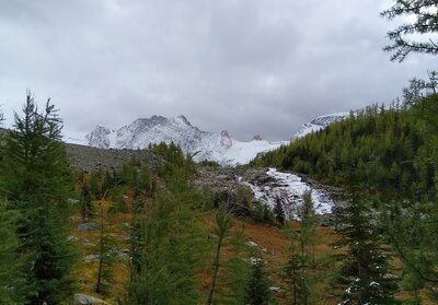 Peaks of the Lieutenants emerge as one climbs the last rise to Lake of the Hanging Glacier.  The lake's outlet creek cascades down next to the trail.
