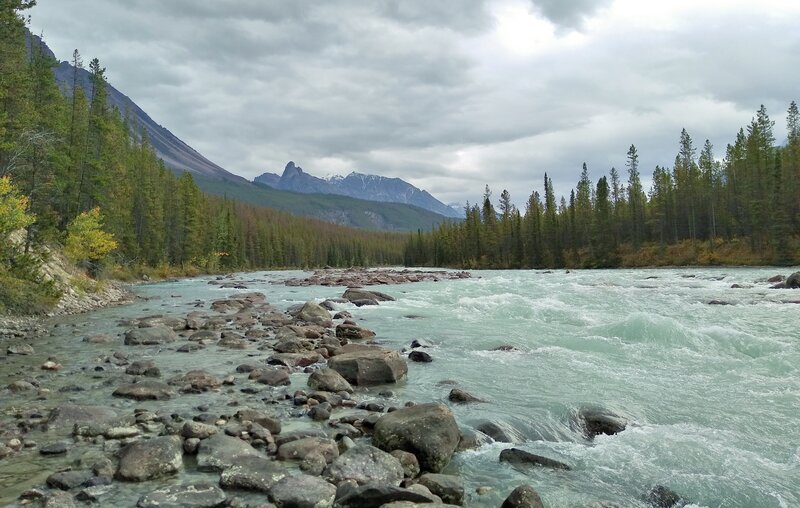 Athabasca River looking upstream/southeast near where the old bridge was washed away in 2014.