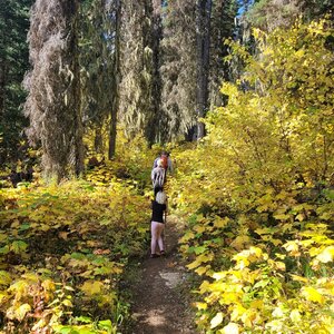 Well maintained trail in fall