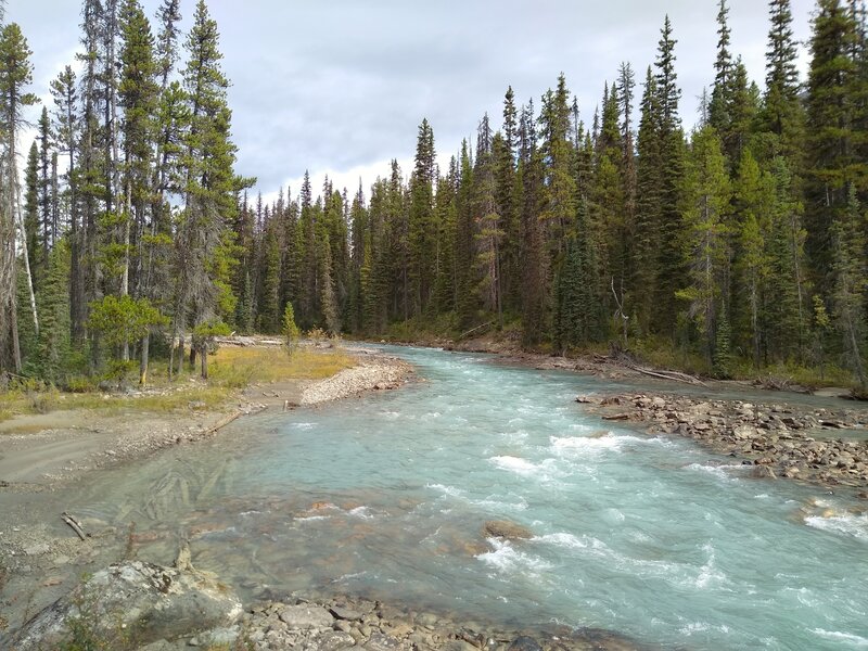 Seen looking upstream, Moose River Route runs along Resplendent Creek as it cascades down to empty into the Moose River.