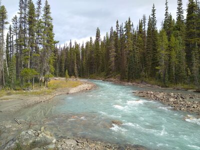 Seen looking upstream, Moose River Route runs along Resplendent Creek as it cascades down to empty into the Moose River.