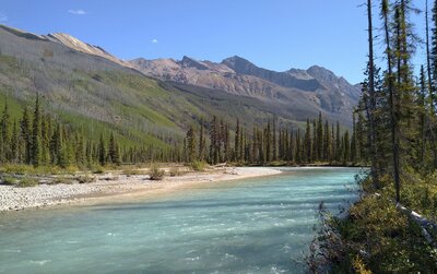The beautiful Moose River in its rugged mountain valley, on a bluebird September day.