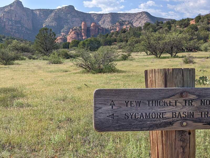 Eastern terminus of Yew Thicket Trail.