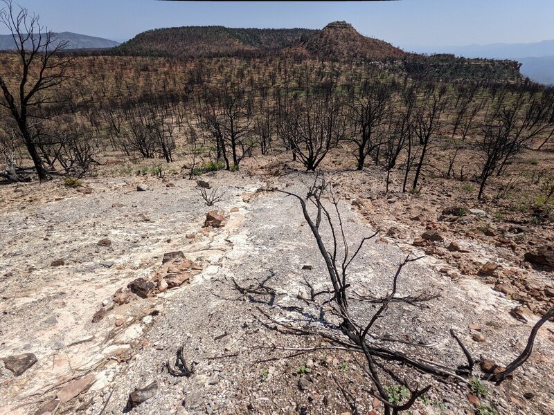 This section of Yew Thicket Trail is obscured by fire damage.  With GPS it's easy to navigate back to it and avoid any major mishaps.  Staying generally left (eastward) of the cliff band gets you where you want to go.