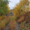 Near the start of the Haymeadow Trail - with fall aspen color.