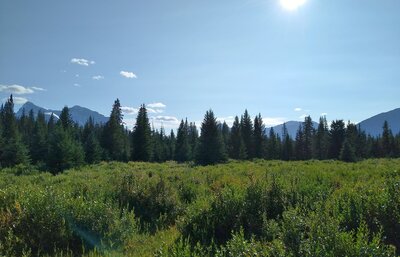 The double peaked Rajah, 9,901 ft., on the left. This is the view from the Wellbourne Warden Cabin's front yard looking southwest.