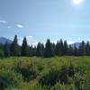 The double peaked Rajah, 9,901 ft., on the left. This is the view from the Wellbourne Warden Cabin's front yard looking southwest.