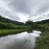 Little River under overcast sky.