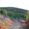 Looking up the old Lyon Gulch Road.