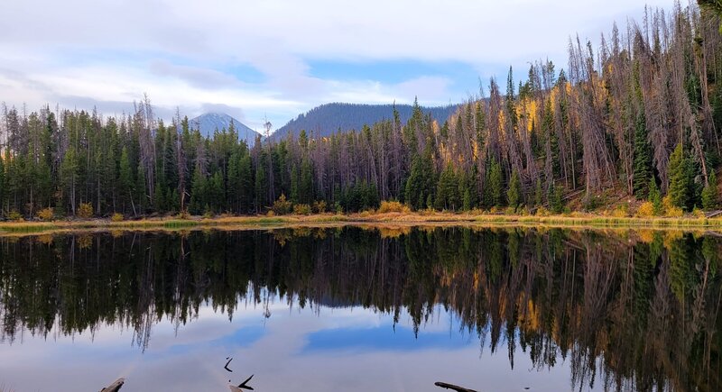 Lily Pad Lake in early fall with the aspen in gold and the mountains just kissed with snow.