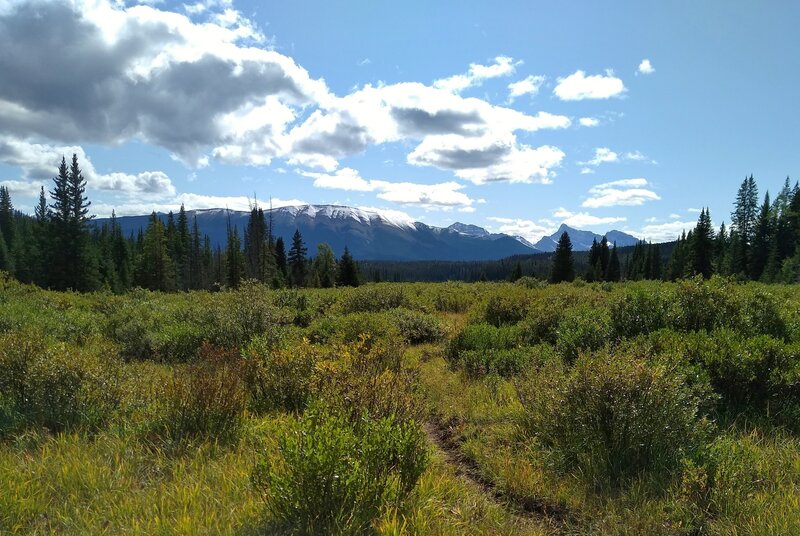 Meadows of willows and distant mountains along Willow Creek Trail.