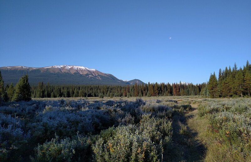 Frost on the willows, new snow on the mountains, moon setting in the blue bird sky.  Leaving Willow Creek trail camp, headed for Wellbourne on a chilly, perfect, early late August morning