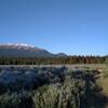 Frost on the willows, new snow on the mountains, moon setting in the blue bird sky.  Leaving Willow Creek trail camp, headed for Wellbourne on a chilly, perfect, early late August morning