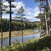 View of Chase Pond.