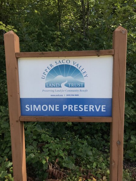 Simone Preserve