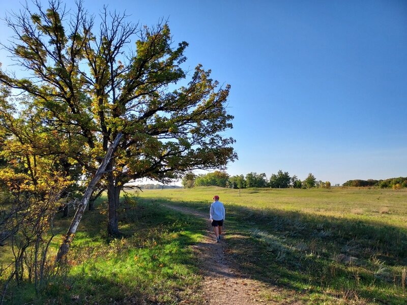 On the Oak Leaf Trail not far from the trailhead.