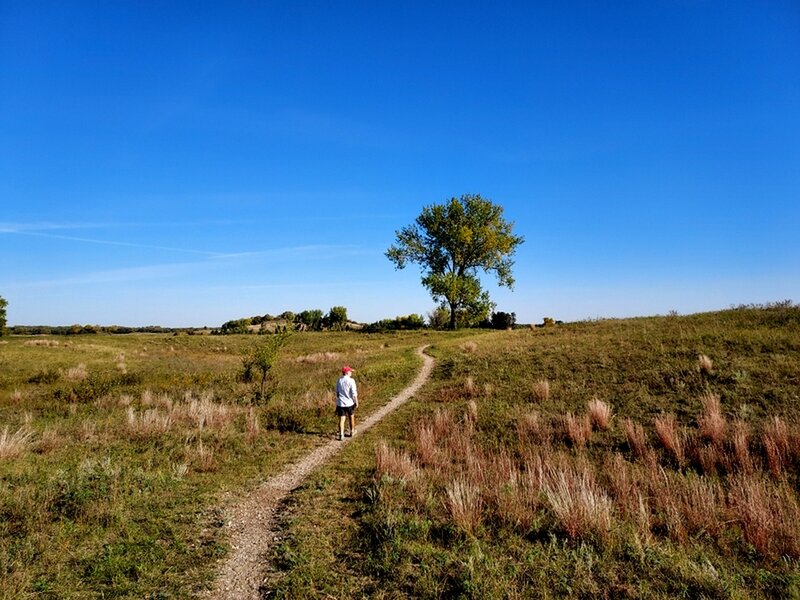 Toward a lone tree on the prairie.