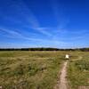 Crossing the prairie on the backside of the loop.