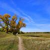 Fall colors just short of the campground.