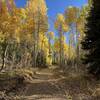 Fall colors on the Eagle Trail