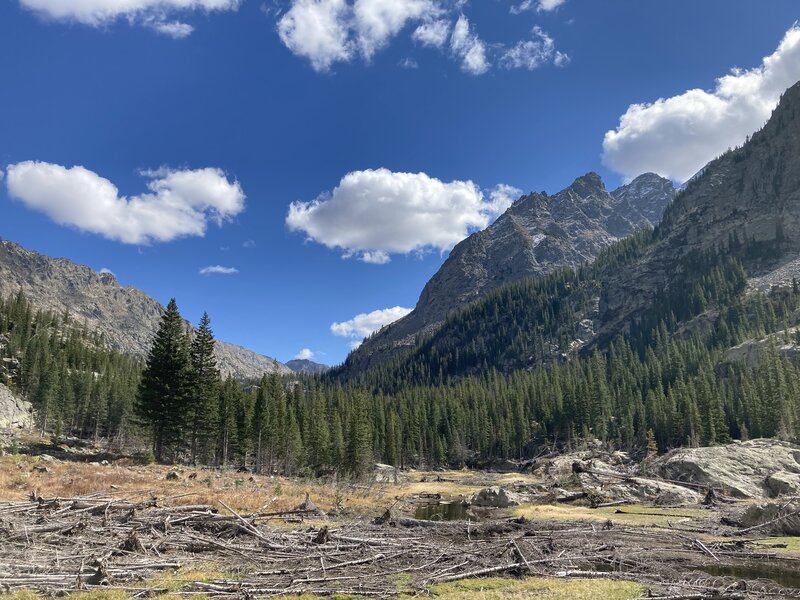 View up valley from the rocks above Half Moon Lake.