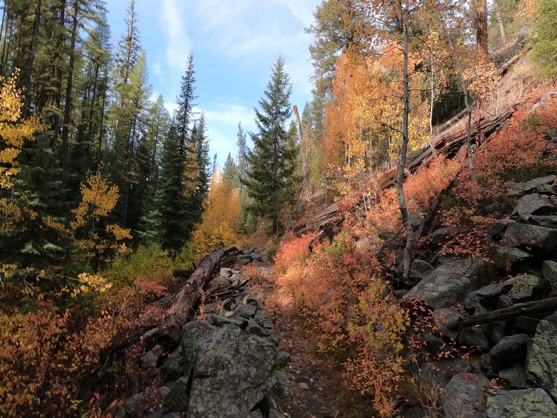 Fall colors along Crane Creek (9-29-2021)