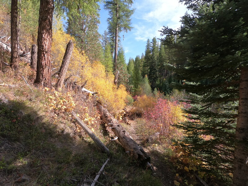 Fall colors near North Fork John Day River intersection.