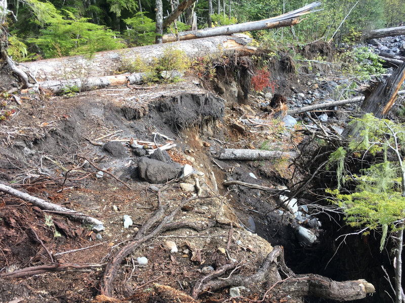 Washed out trail.